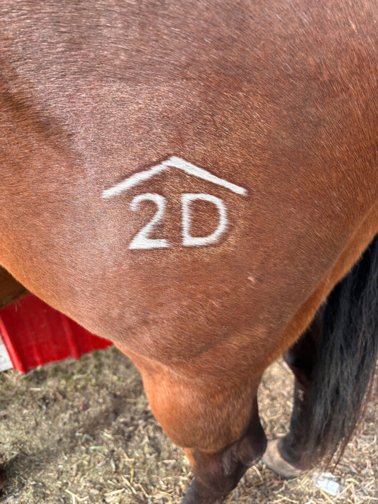 Freeze Branding Size Guide