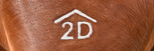 Newly generated sharp photographic illustration of a white 2D freeze brand on a chestnut horse's hindquarter