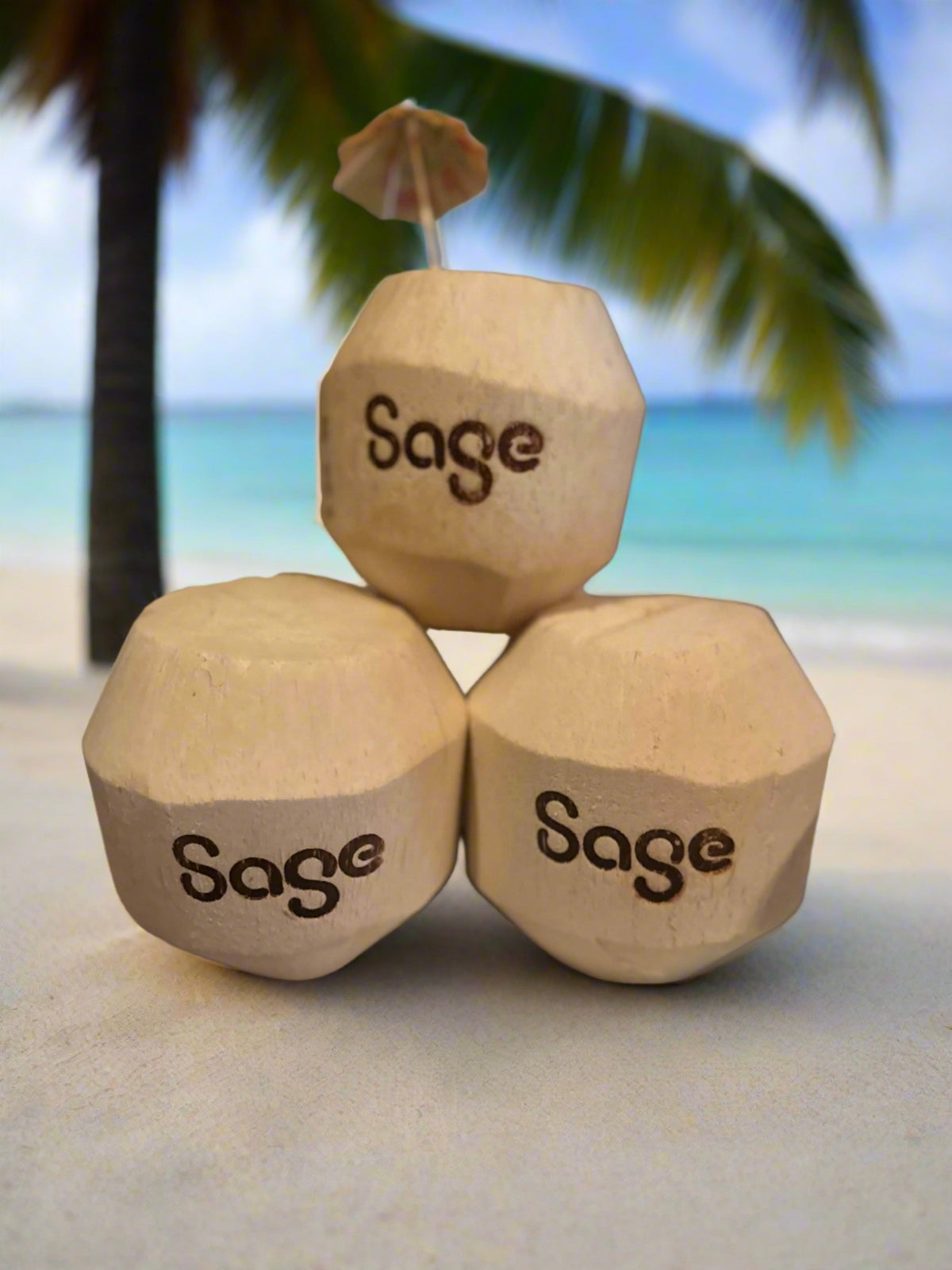 Three trimmed coconuts with Sage branding displayed for drink service